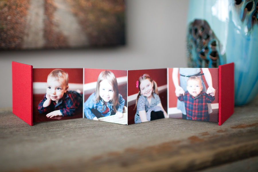 grand rapids family photography-3