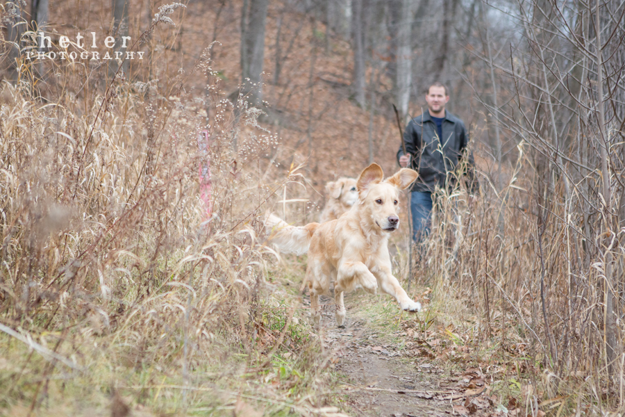 grand rapids family photography near grand river with golden retrievers 0007