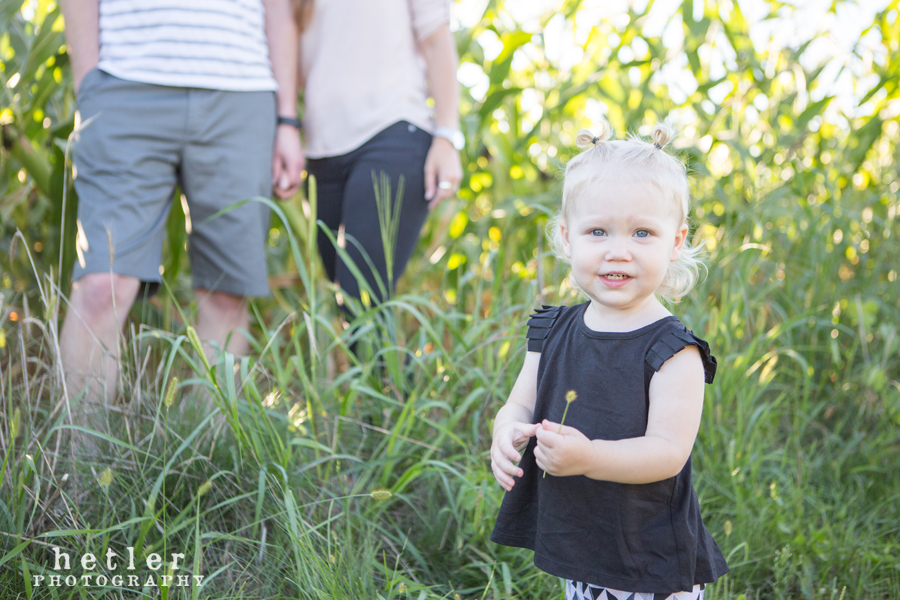 grand rapids family photography in cornfield 0003