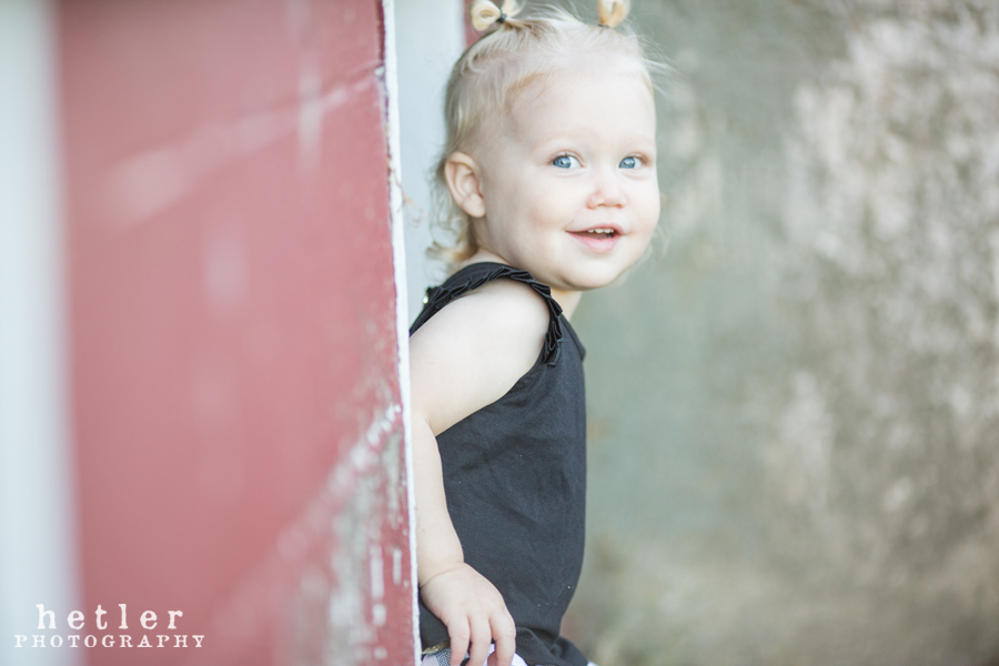 grand rapids family photography in cornfield 0006