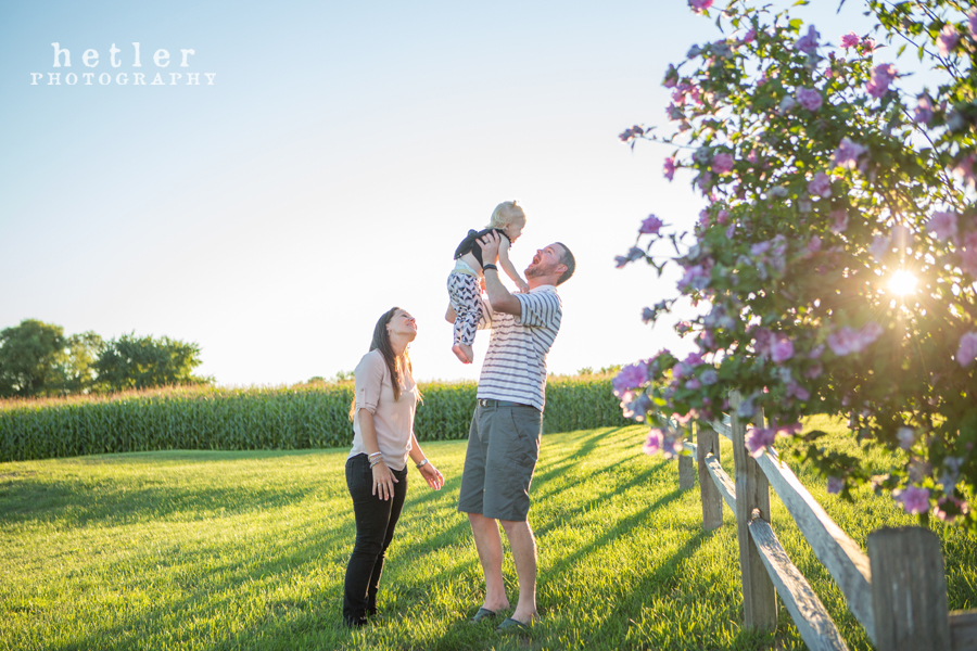 grand rapids family photography in cornfield 0013