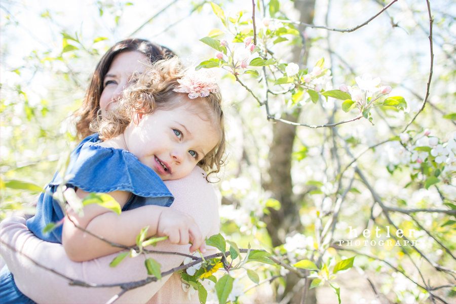grand rapids family photography in the spring apple orchard 0005