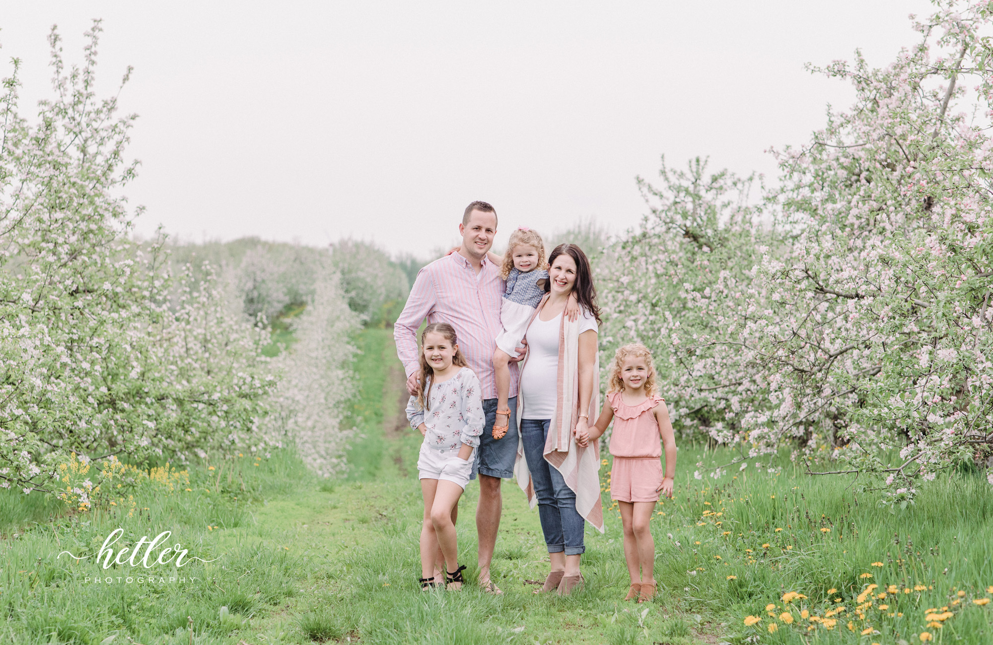 Rockford Michigan spring family photo session at an apple orchard with apple blossoms