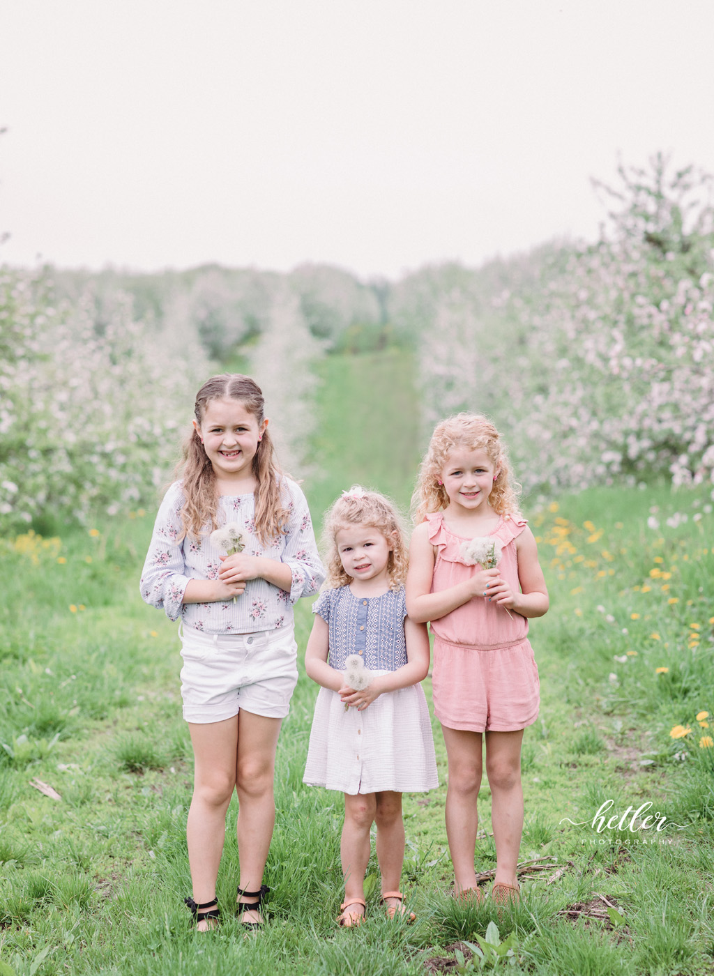 Rockford Michigan spring family photo session at an apple orchard with apple blossoms