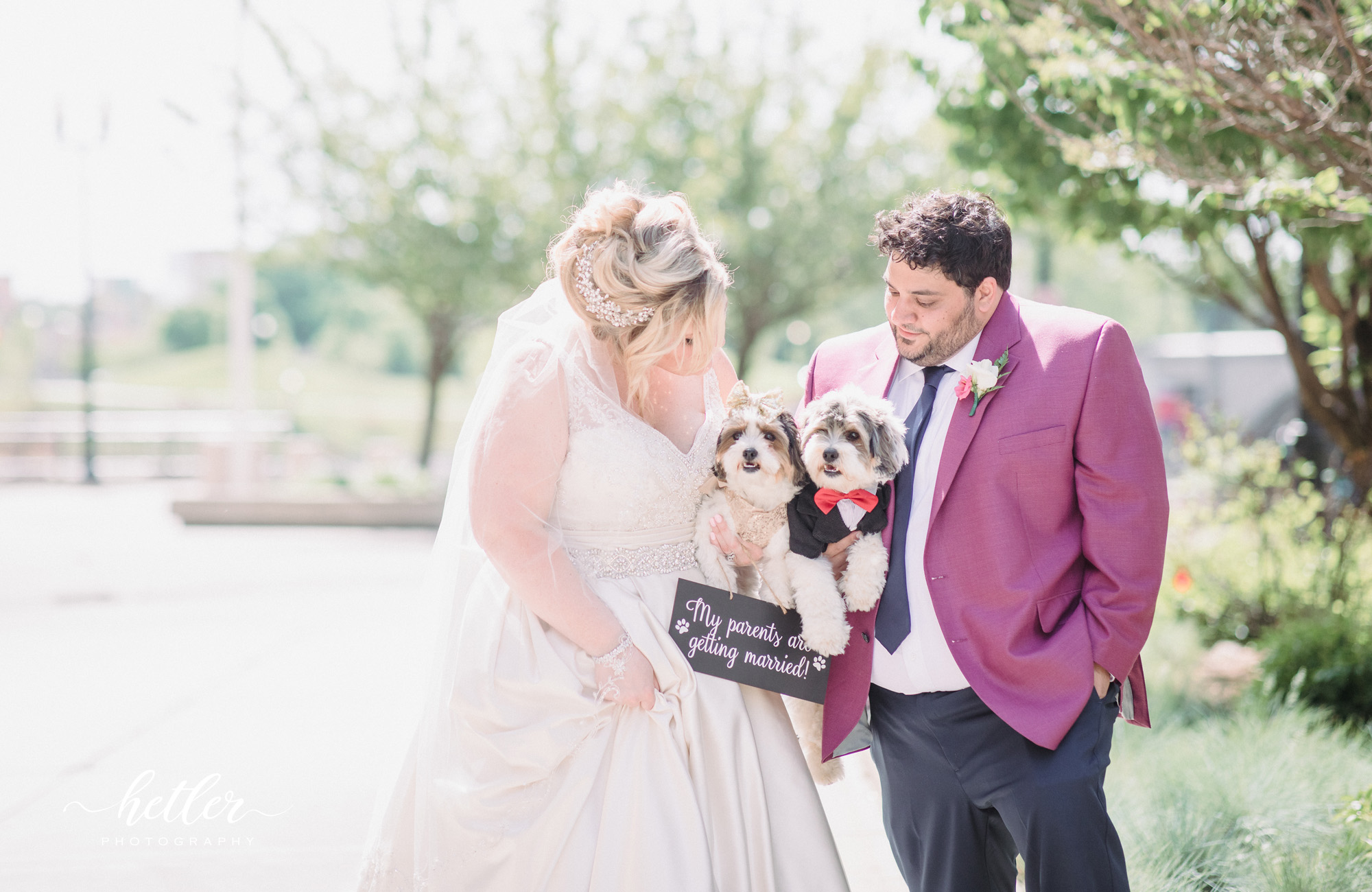 Grand Rapids navy and raspberry summer city wedding with dogs
