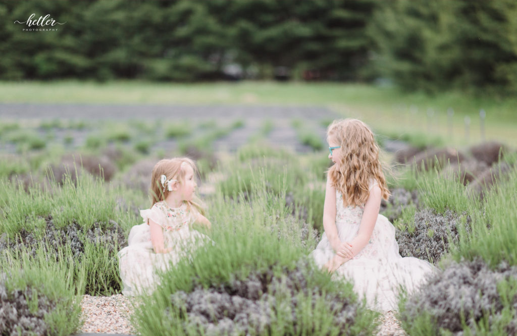 Children photography in Kalamazoo, Michigan at a lavender farm