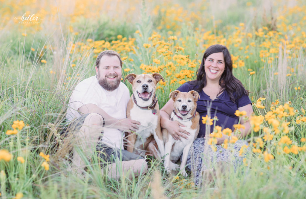 Fremont Michigan maternity photos in a field of wildflowers