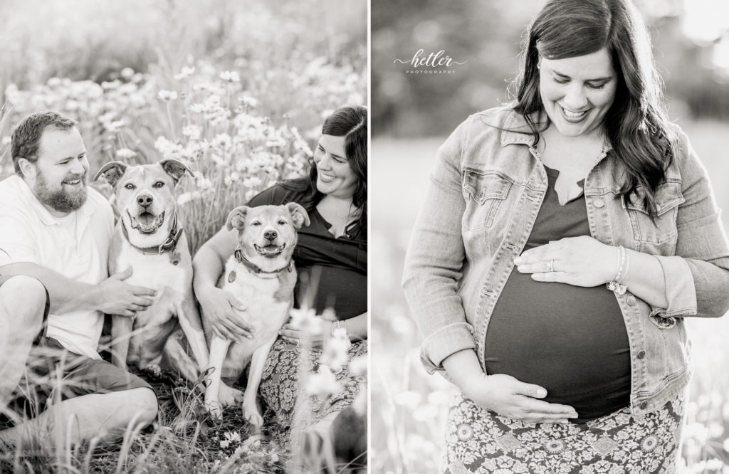 Fremont Michigan maternity photos in a field of wildflowers