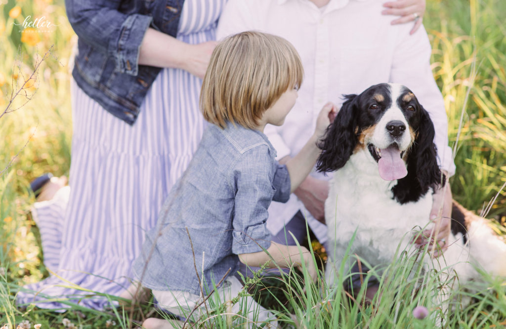 Fremont Michigan family photos in a field of yellow wildflowers