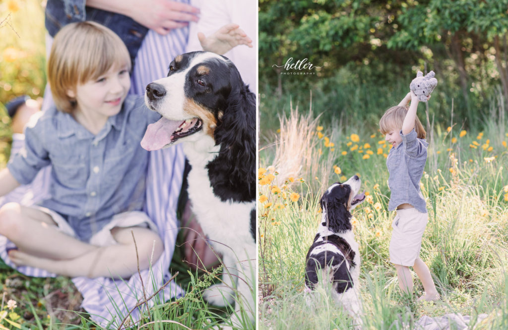 Fremont Michigan family photos in a field of yellow wildflowers