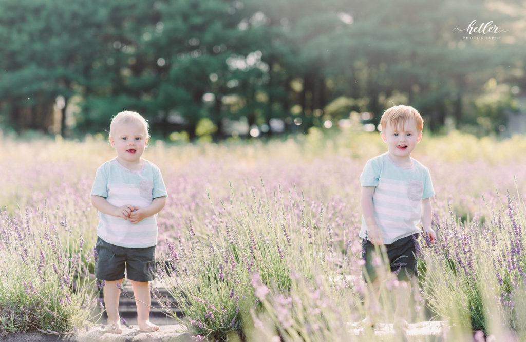 Kalamazoo family photos at Shades of Lavender farm 