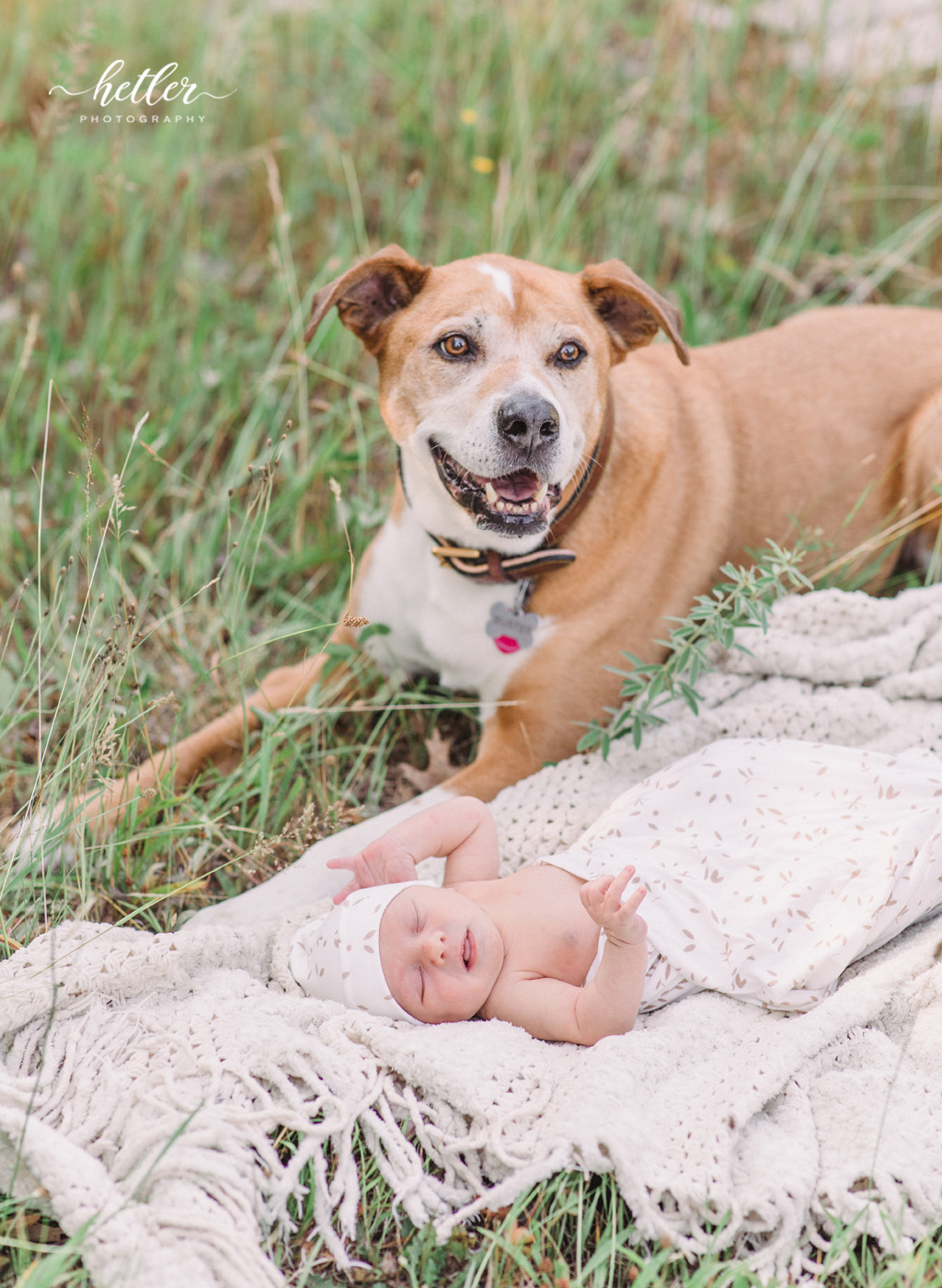 West Michigan outdoor newborn photos