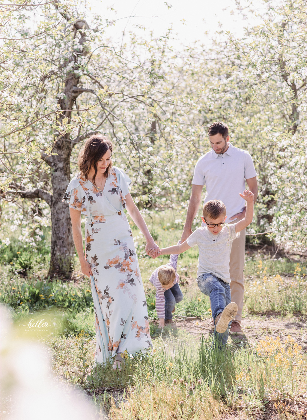 Spring family photo session at the apple orchard full of blossoms in Sparta Michigan 