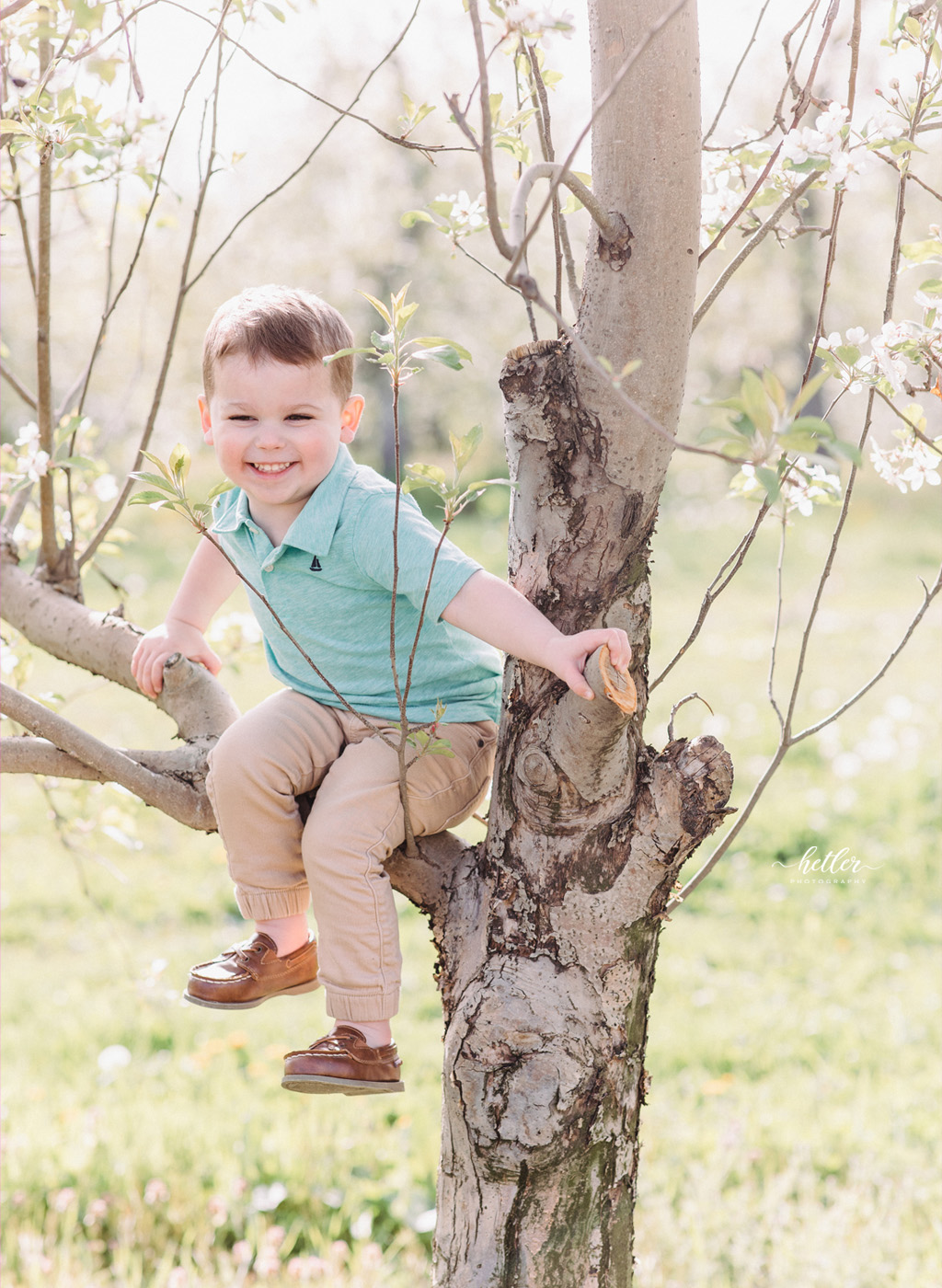 Grand Rapids Michigan children session at an orchard full of apple blossoms