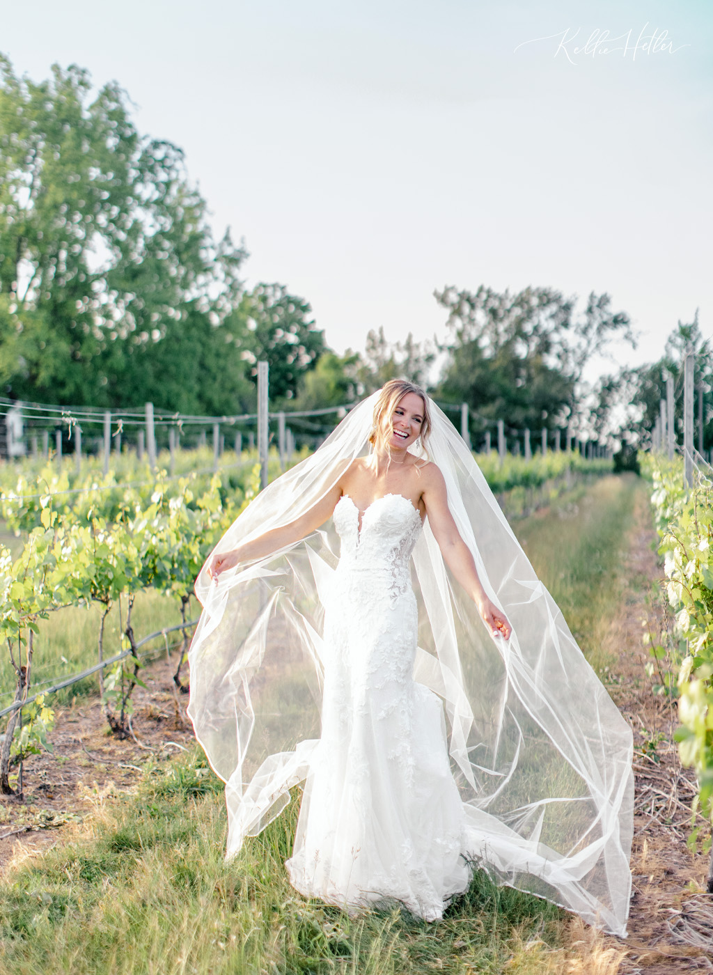Bride with cathedral veil in winery at Aurora Cellars Michigan
