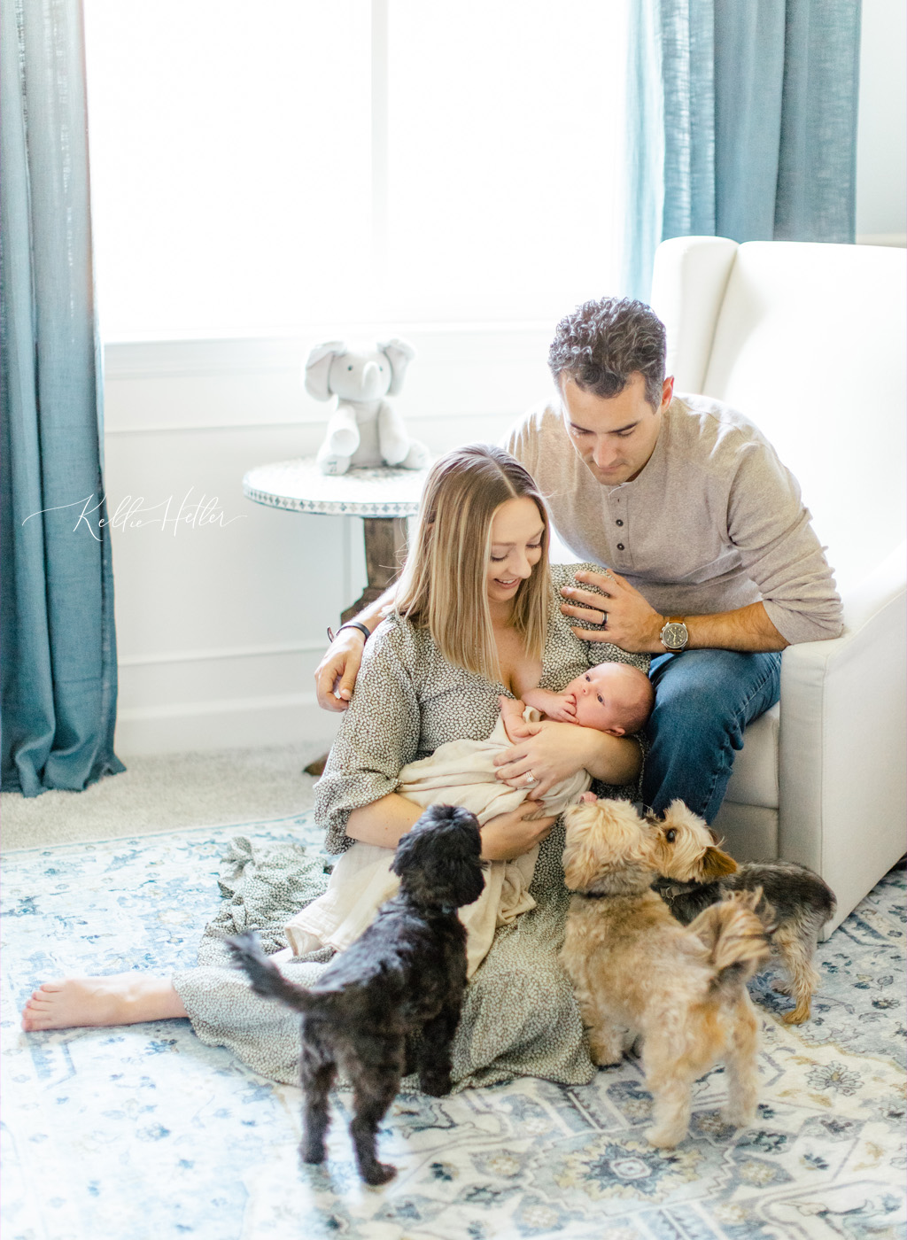 newborn photo in ann arbor with family dogs